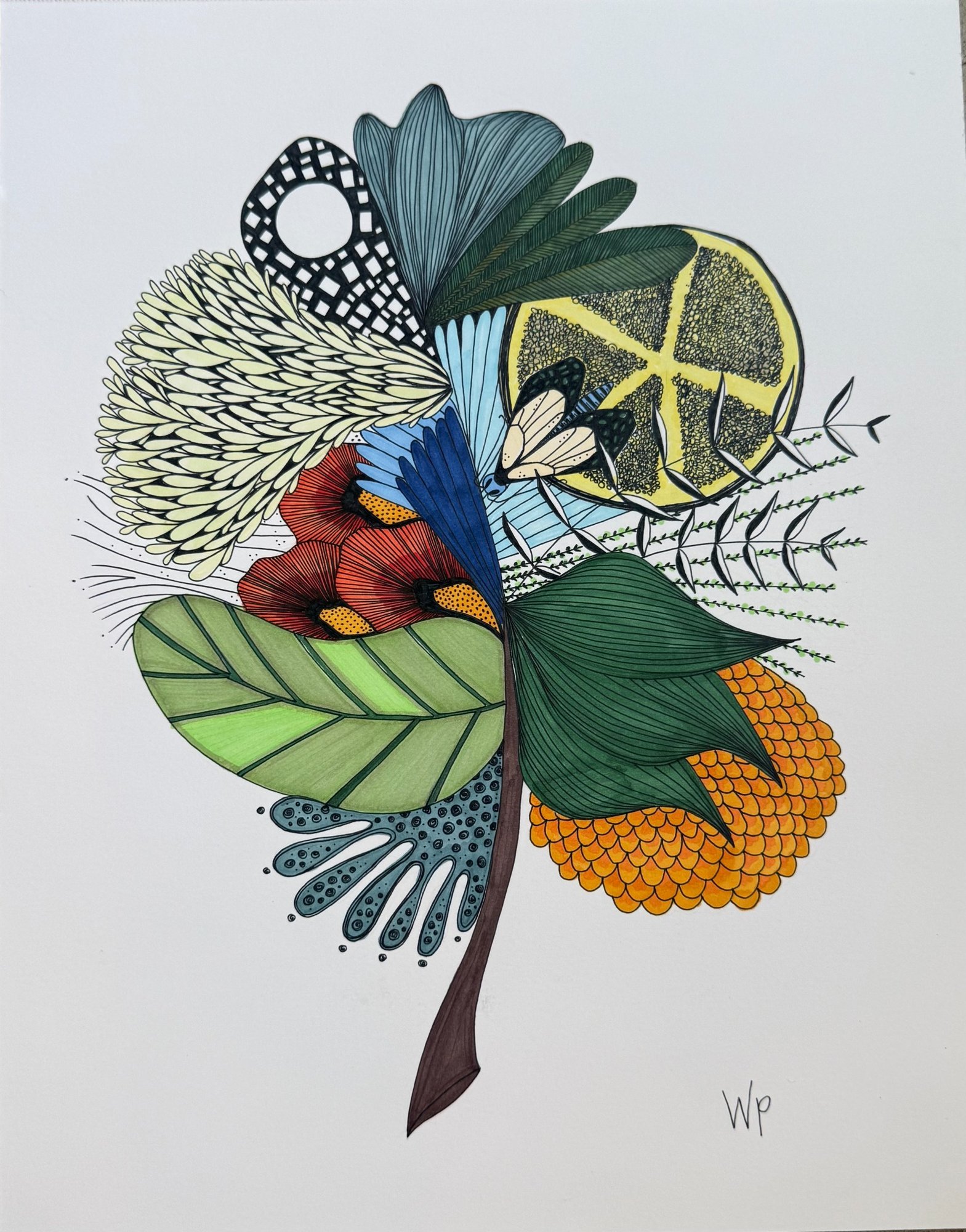 Kimia by Paige Wilson