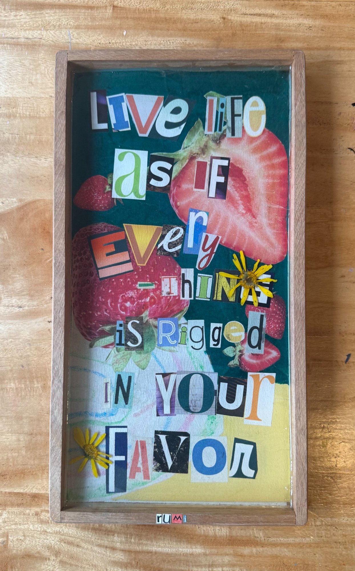 Rumi by Paige Wilson